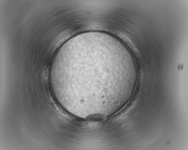 X0000093520841200710261217