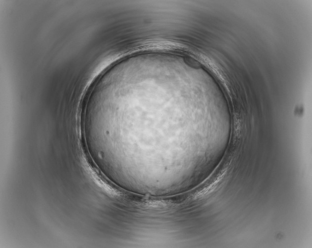 X0000093520843200710261217