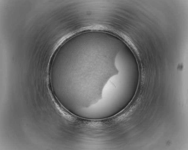 X0000093520845200710261218