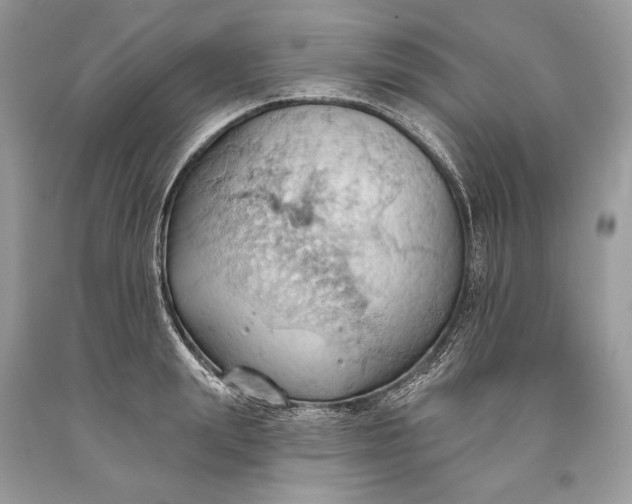 X0000093520847200710261218