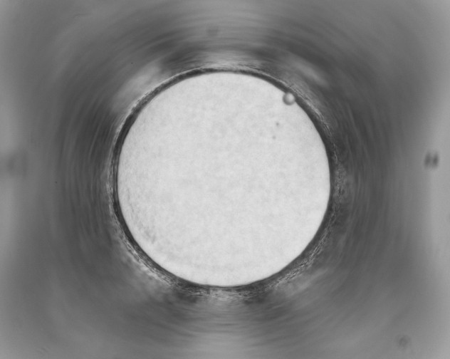 X0000093520848200710261218