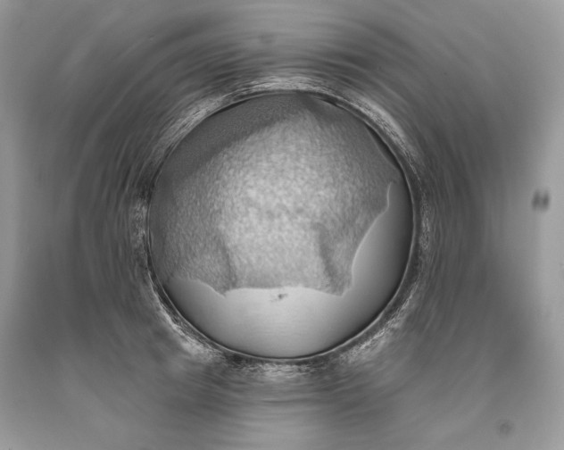 X0000093520849200710261218