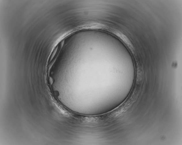 X0000093520850200710261218