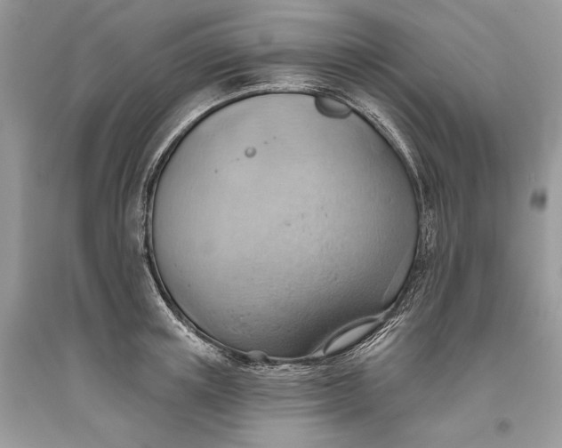 X0000093520851200710261218