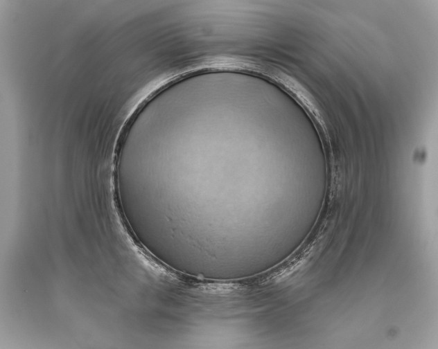 X0000093520853200710261218