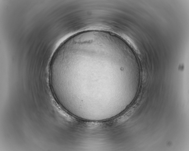 X0000093520854200710261218