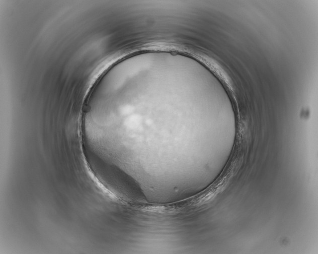 X0000093520855200710261218