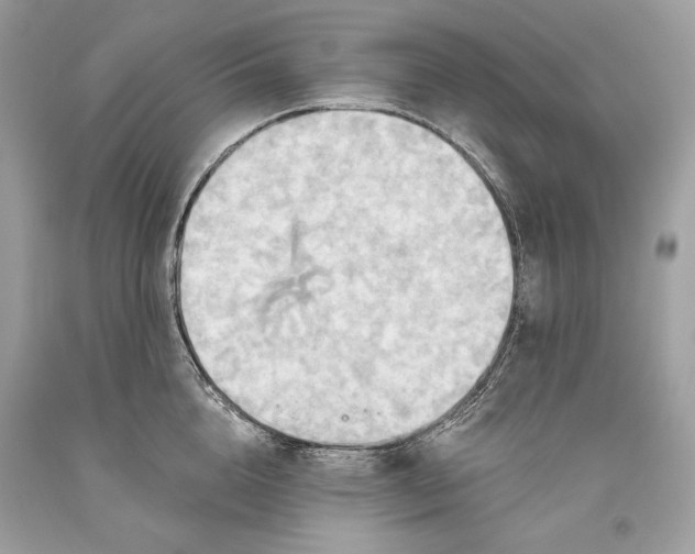 X0000093520856200710261218