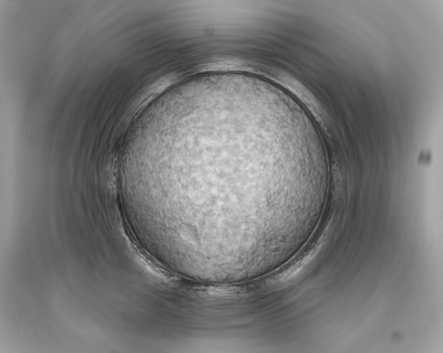 X0000093520857200710261218