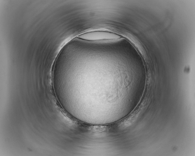 X0000093520858200710261218