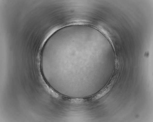 X0000093520859200710261218