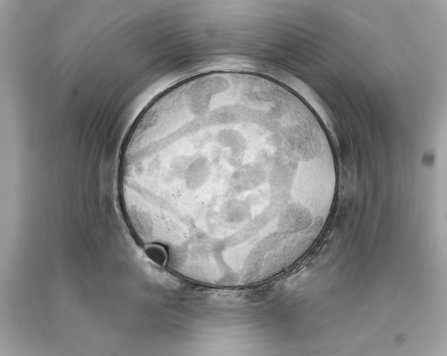 X0000093520861200710261218