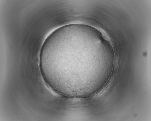 X0000093520862200710261218