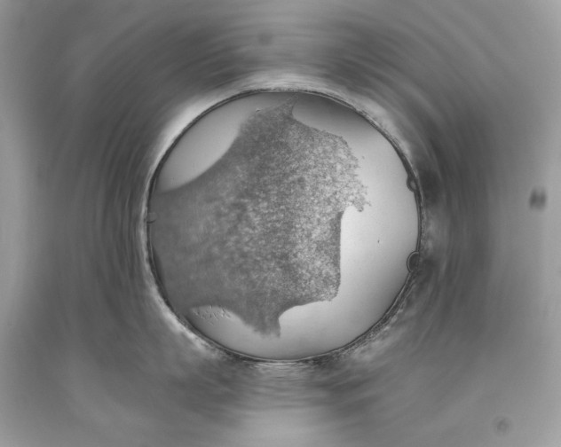 X0000093520863200710261218