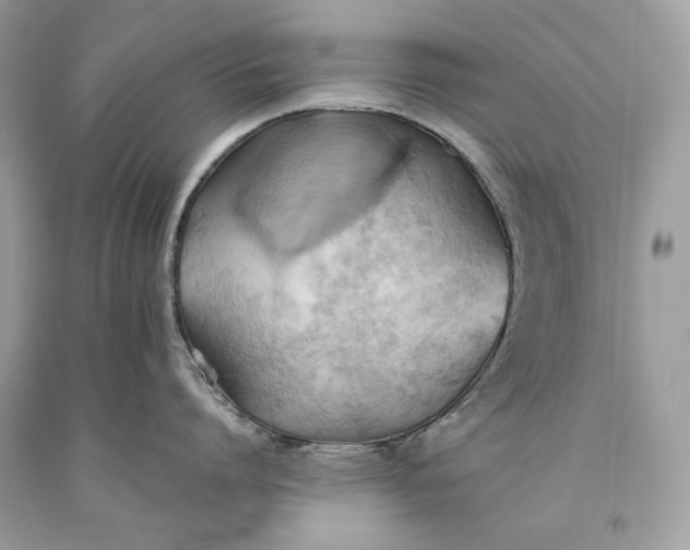 X0000093520864200710261218