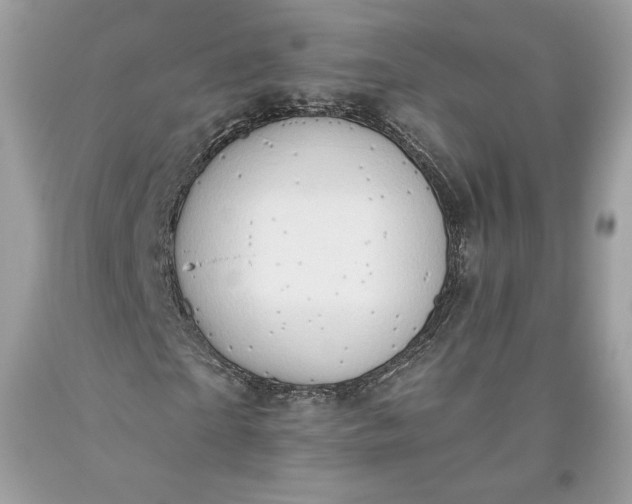 X0000093520865200710261217