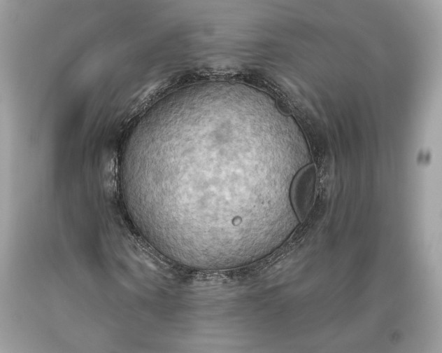 X0000093520866200710261217