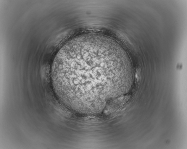 X0000093520867200710261217