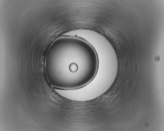 X0000093520868200710261217