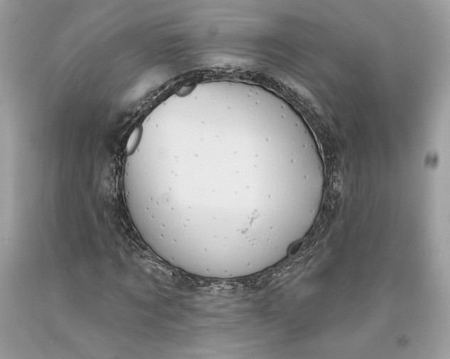 X0000093520869200710261217