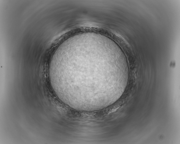 X0000093520870200710261217