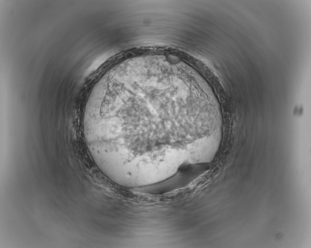 X0000093520871200710261217