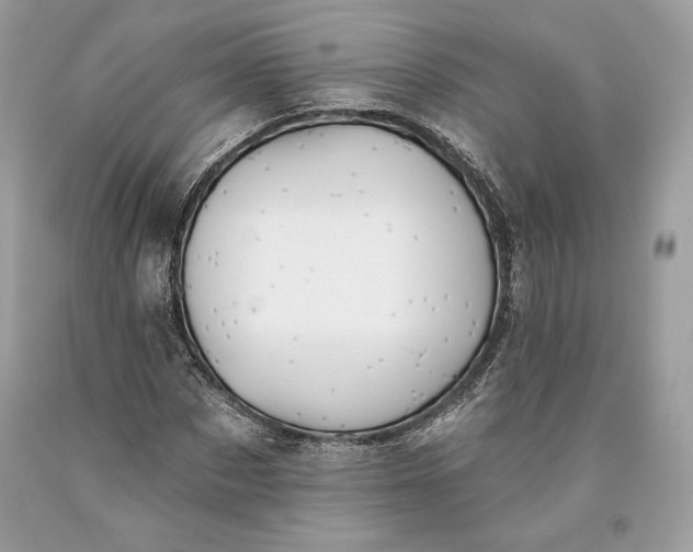 X0000093520873200710261217