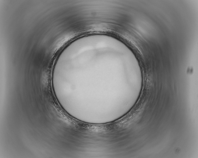 X0000093520874200710261217