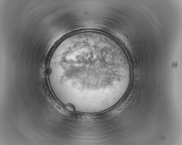 X0000093520875200710261217