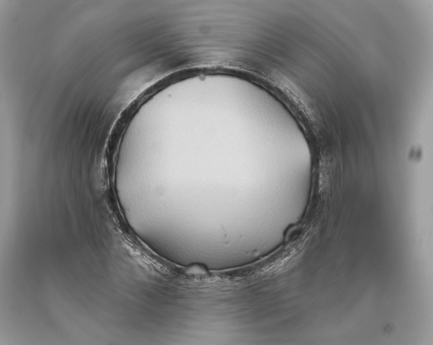 X0000093520876200710261217