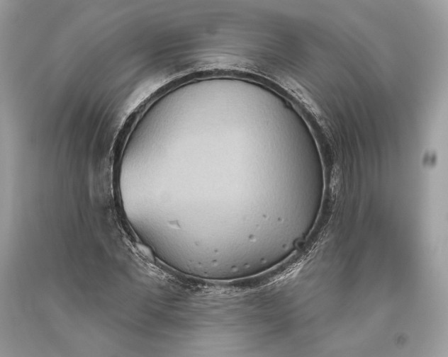 X0000093520877200710261217