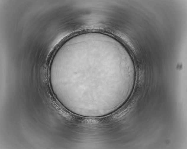 X0000093520878200710261217