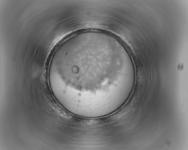 X0000093520879200710261217