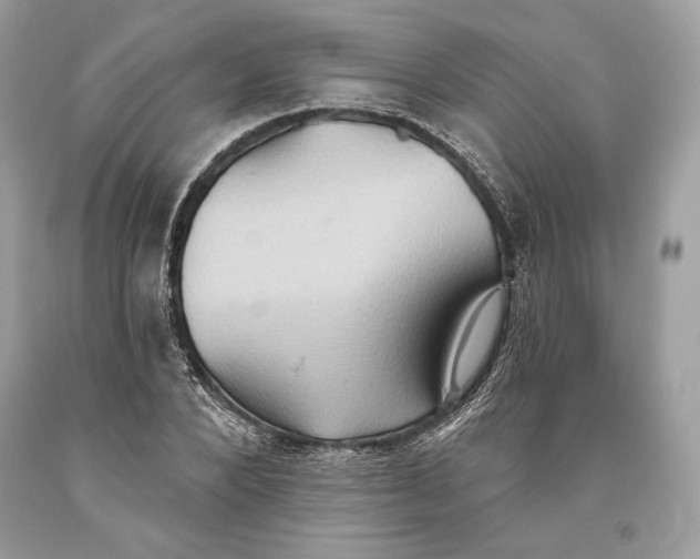 X0000093520880200710261217