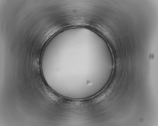 X0000093520881200710261217