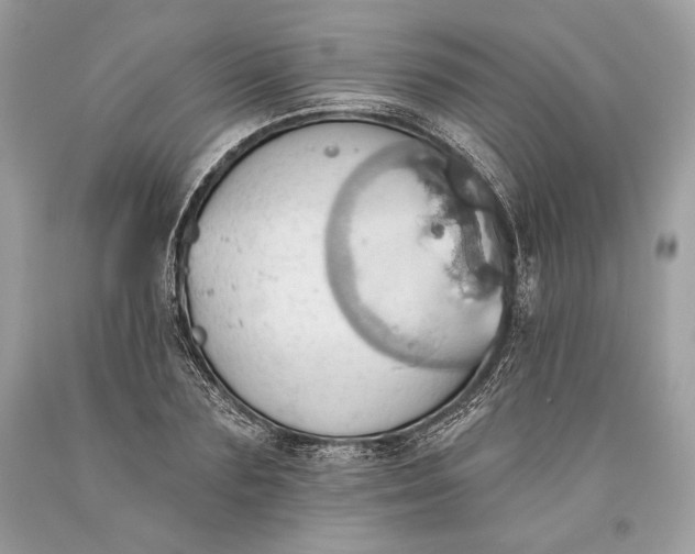 X0000093520883200710261217