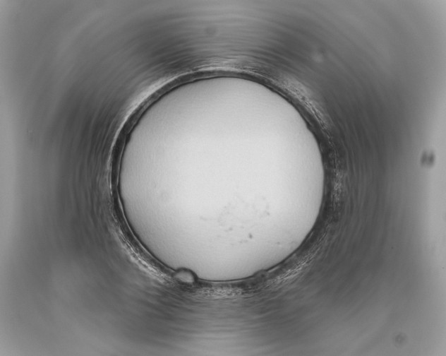 X0000093520884200710261217