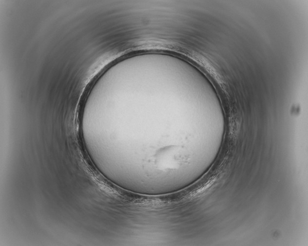 X0000093520885200710261217