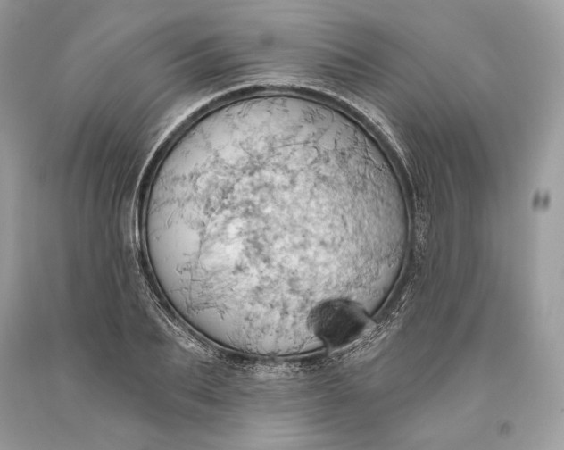 X0000093520887200710261217