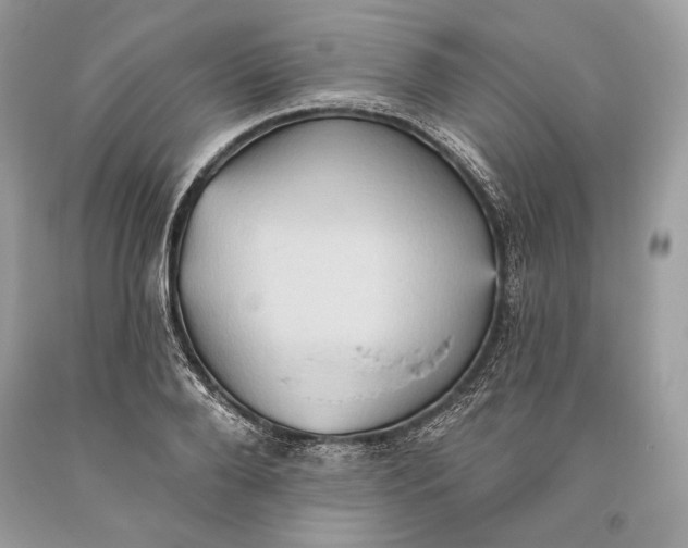 X0000093520888200710261217