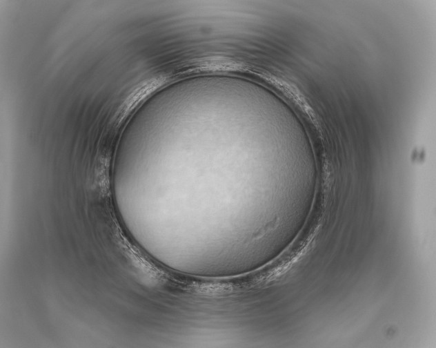 X0000093520889200710261217