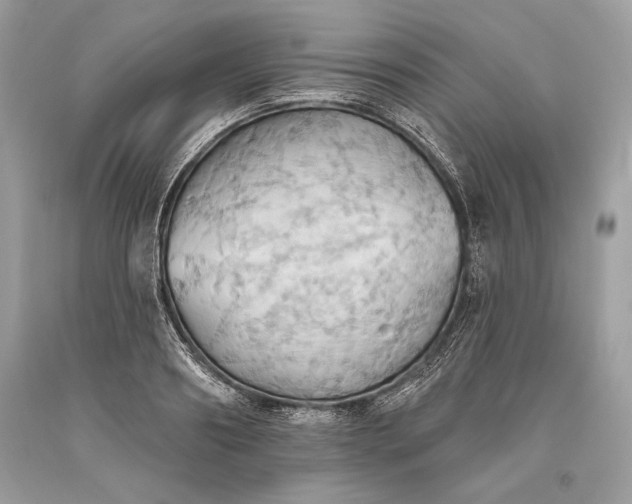 X0000093520890200710261217