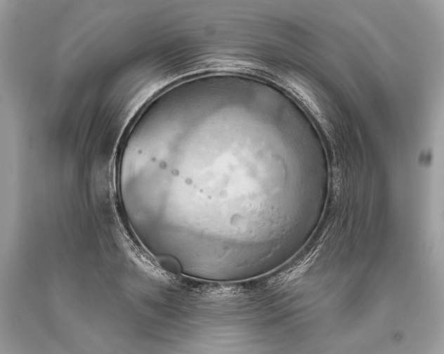 X0000093520891200710261217