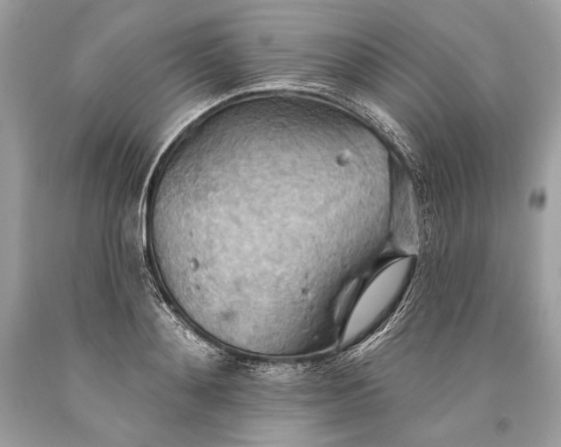 X0000093520892200710261217