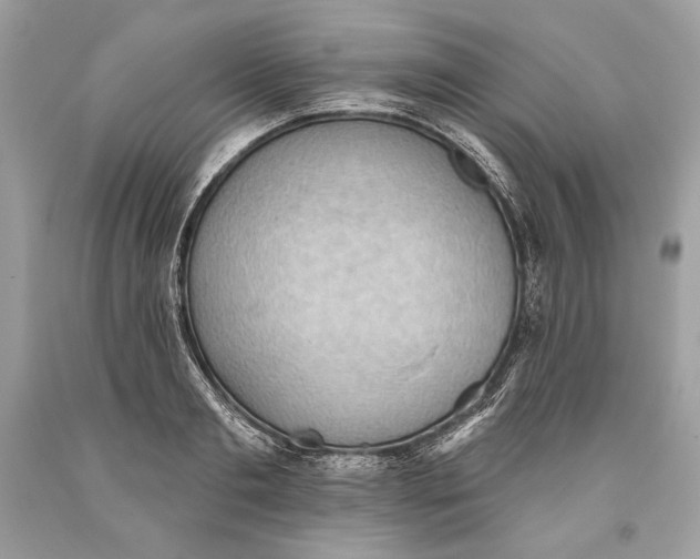 X0000093520893200710261217