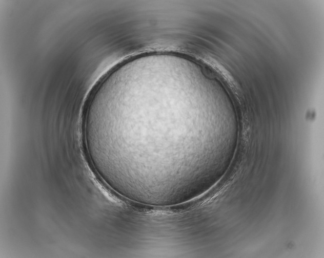 X0000093520894200710261217