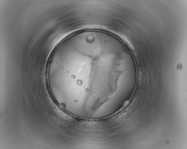 X0000093520895200710261217