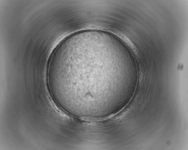 X0000093520896200710261217