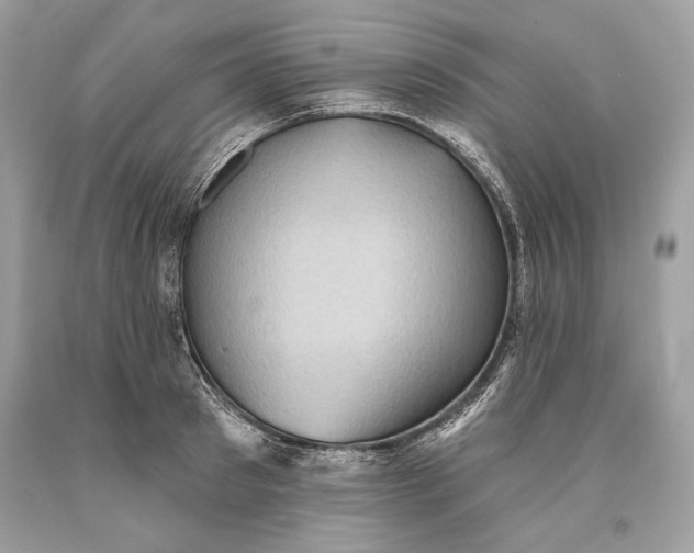 X0000093520897200710261217