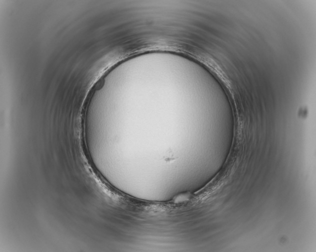 X0000093520898200710261217